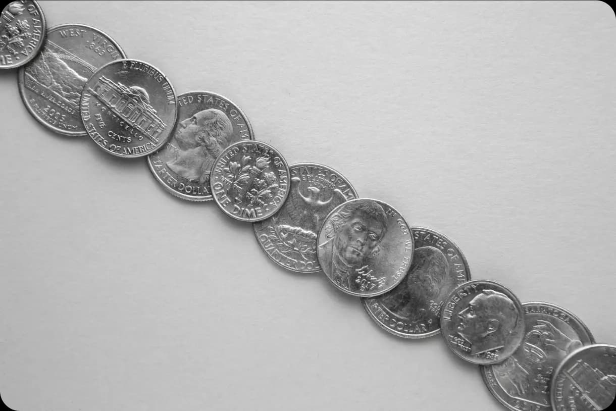 Visa gives Extensive Network of Banking Institutions